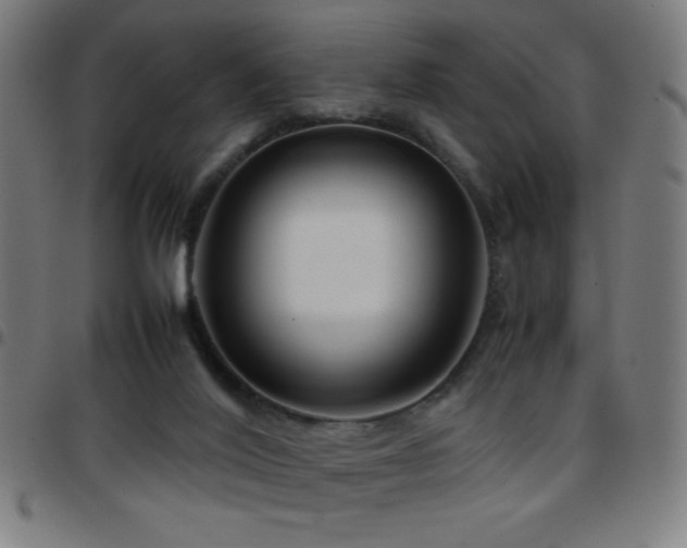 X0000097780020200803071400