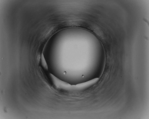 X0000097780021200803071400