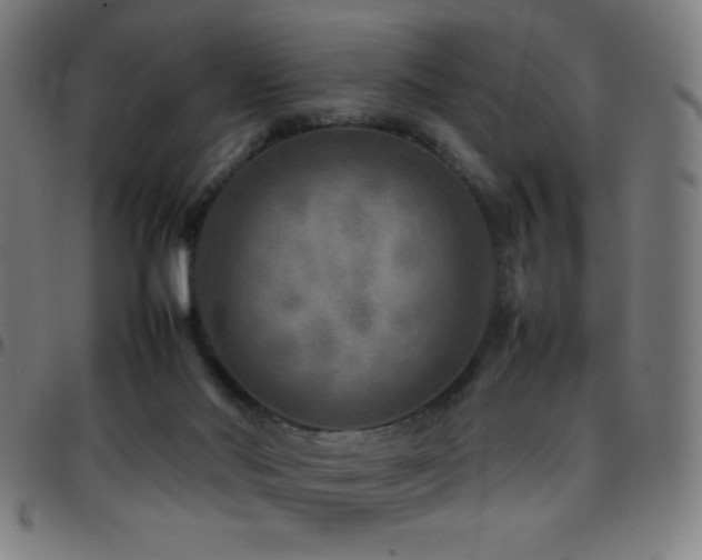 X0000097780022200803071400