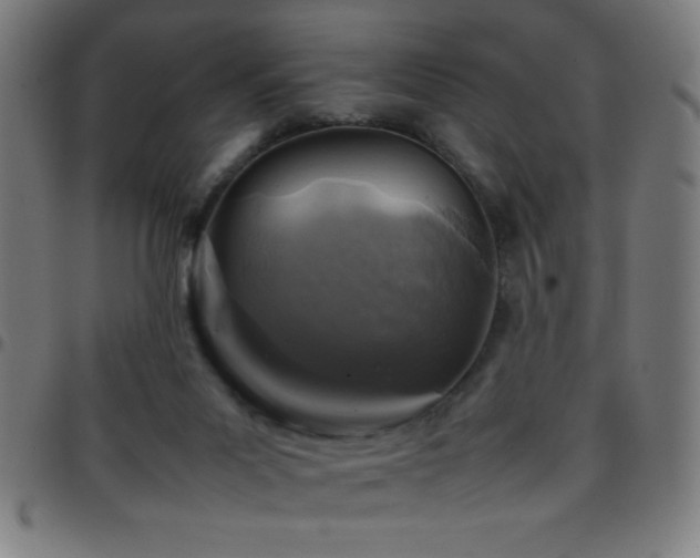 X0000097780023200803071400