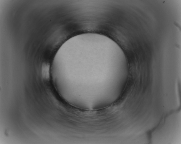 X0000097780024200803071400