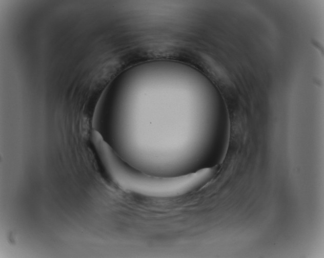 X0000097780025200803071400