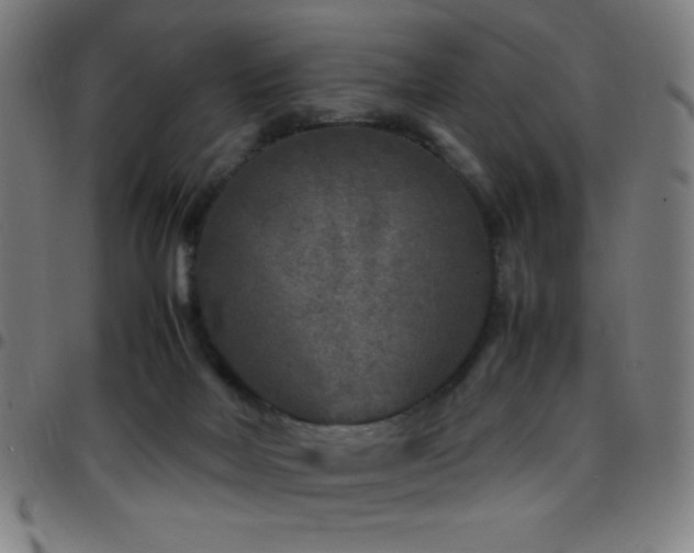 X0000097780026200803071400
