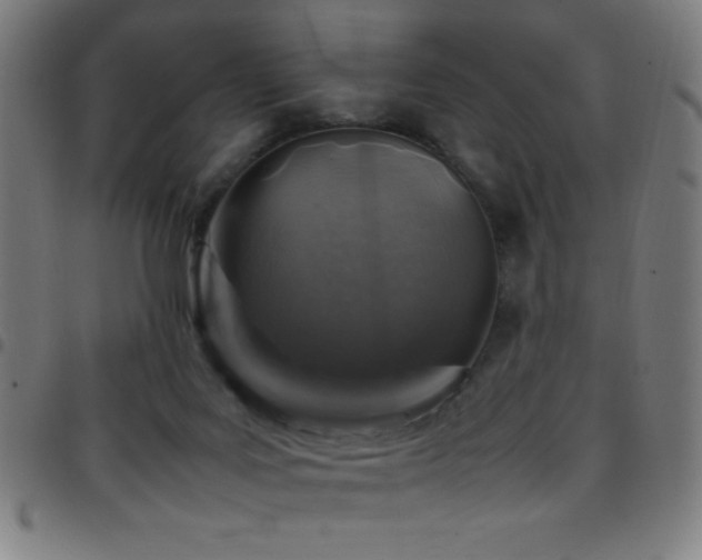 X0000097780027200803071400