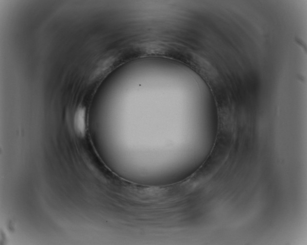 X0000097780028200803071400