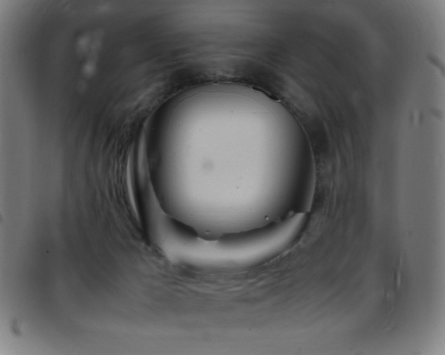 X0000097780029200803071400