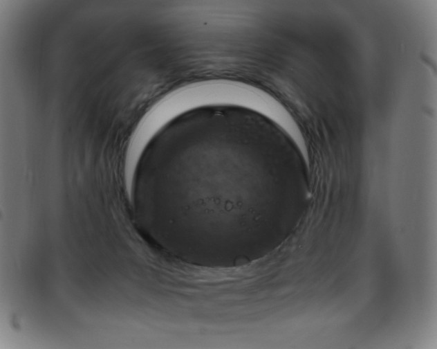 X0000097780031200803071359