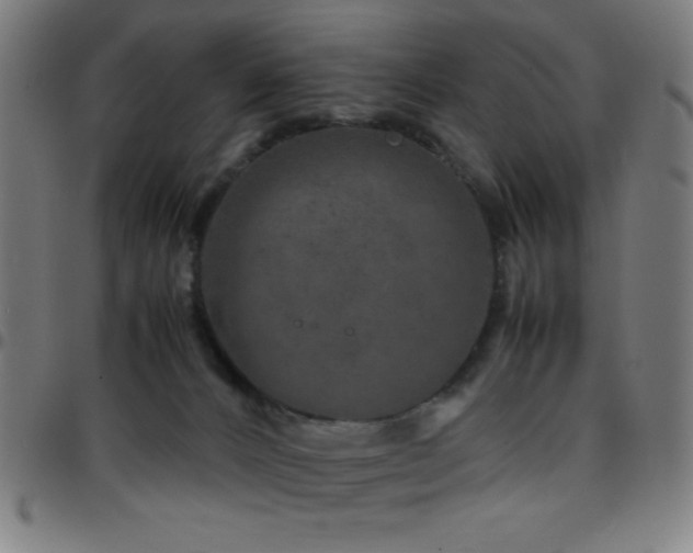 X0000097780032200803071359