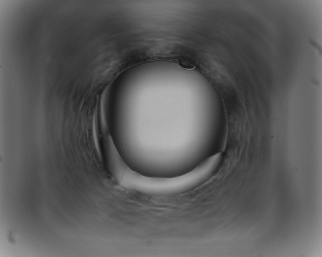 X0000097780033200803071359