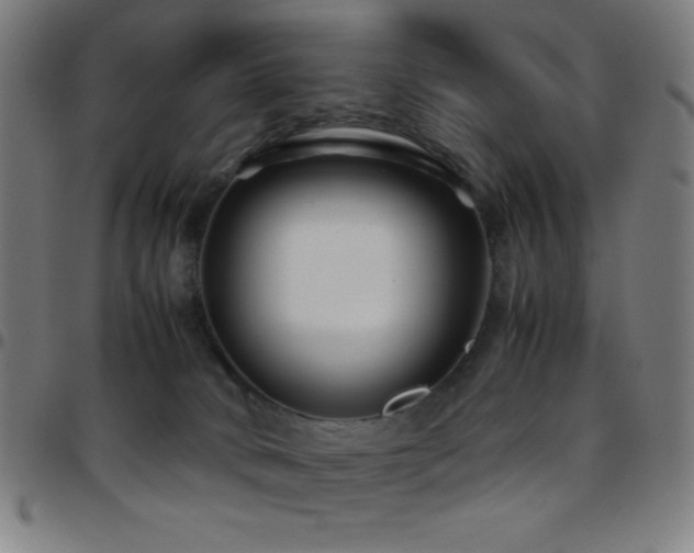X0000097780034200803071359