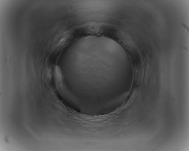 X0000097780035200803071359