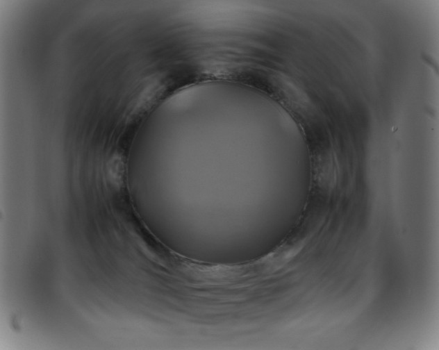 X0000097780036200803071359