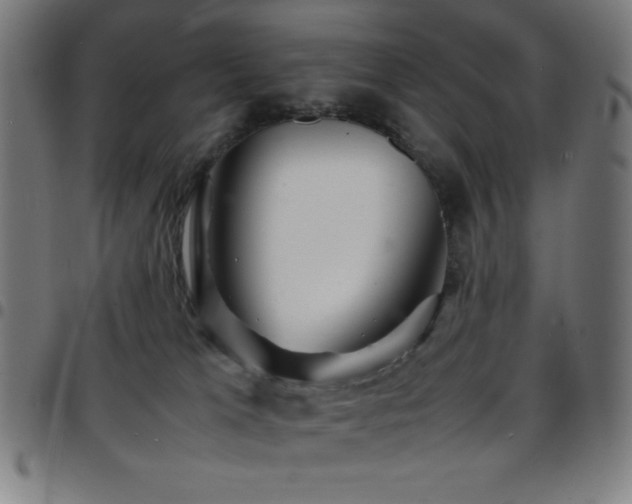 X0000097780037200803071359