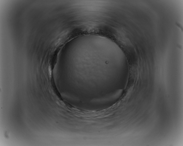 X0000097780039200803071359
