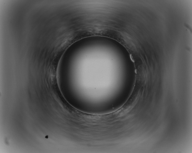 X0000097780040200803071359