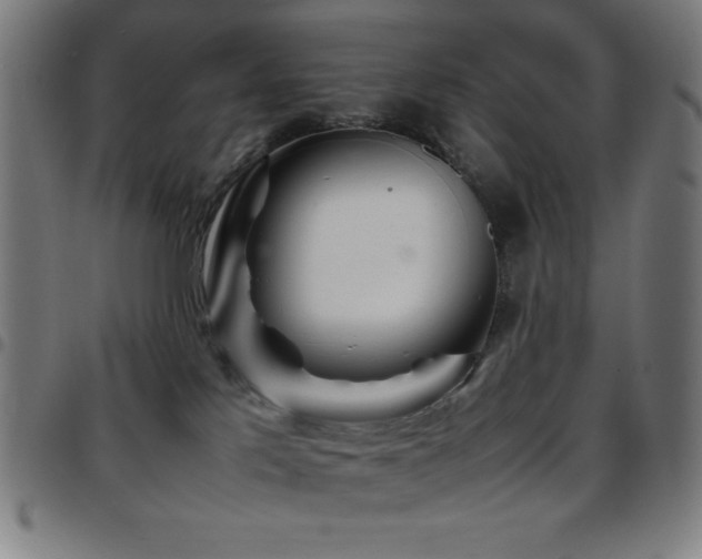 X0000097780041200803071359