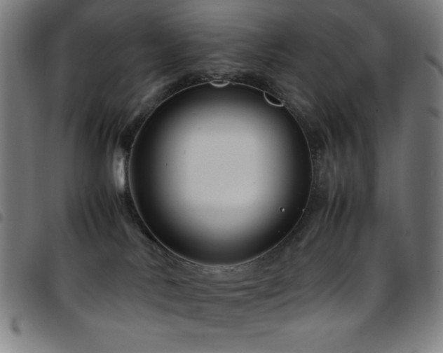 X0000097780042200803071359