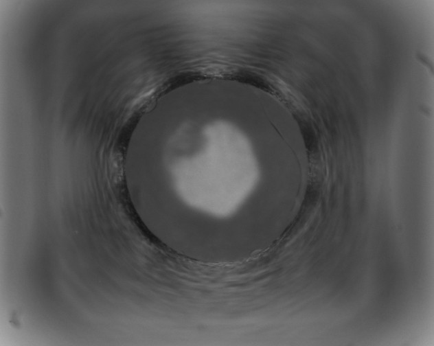 X0000097780043200803071359