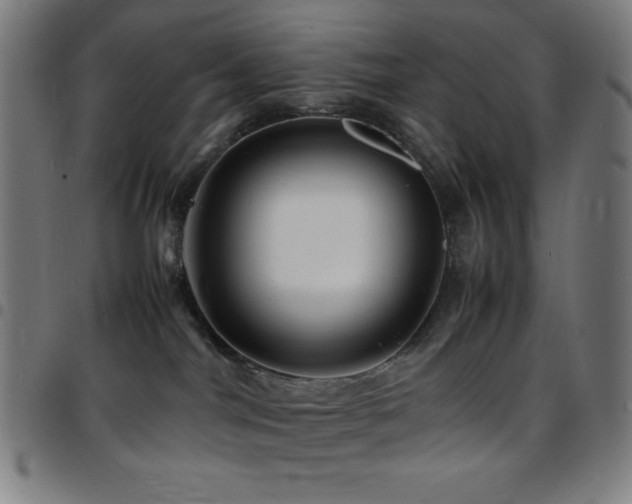 X0000097780044200803071359