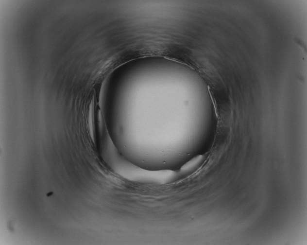X0000097780045200803071359