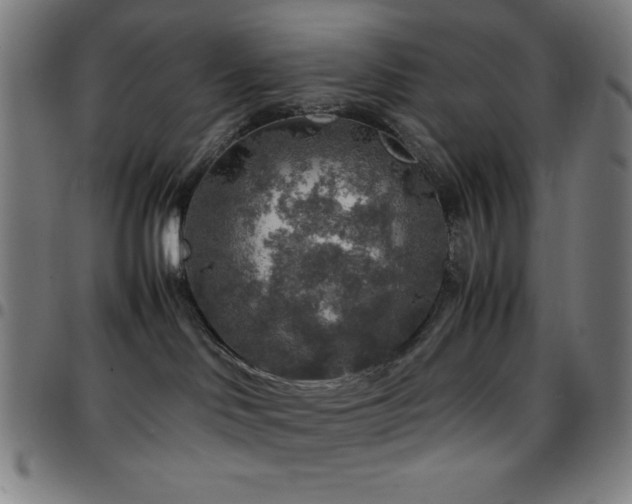 X0000097780046200803071359