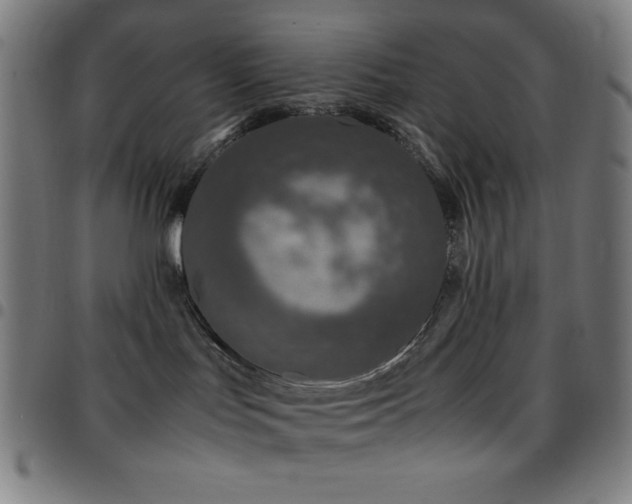 X0000097780047200803071359