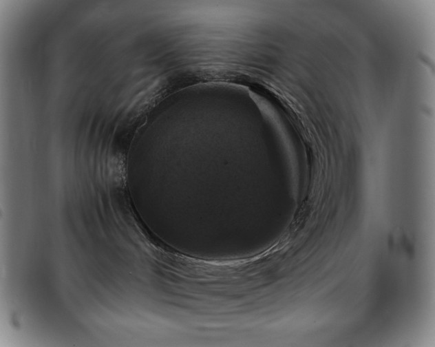 X0000097780048200803071359