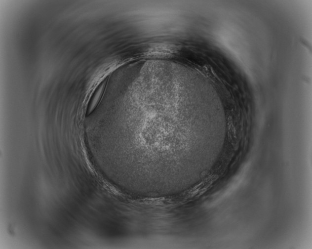 X0000097780049200803071358