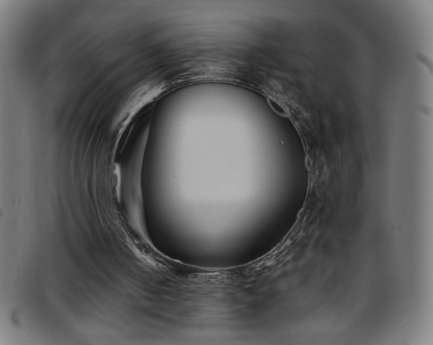 X0000097780050200803071358