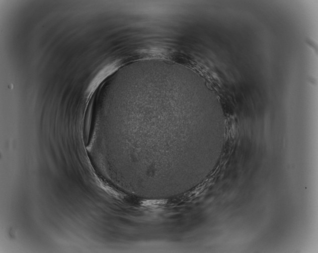X0000097780051200803071358