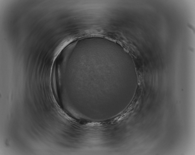 X0000097780052200803071358