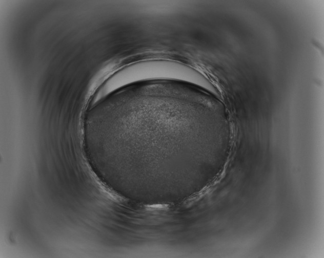 X0000097780053200803071358