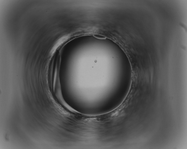 X0000097780054200803071359