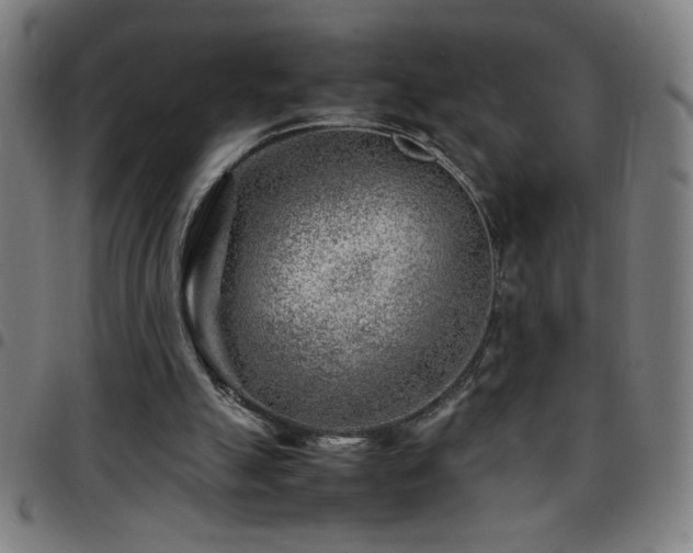 X0000097780055200803071359