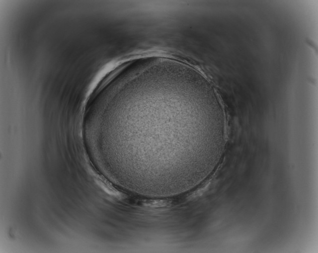 X0000097780056200803071359