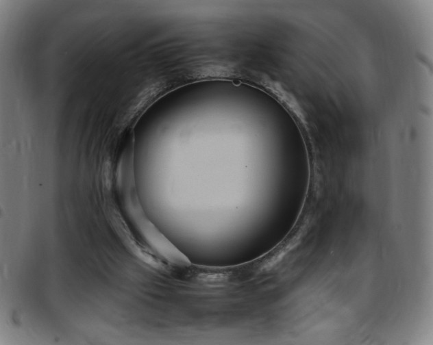 X0000097780057200803071359