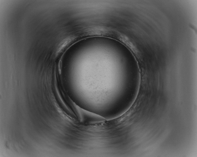 X0000097780058200803071359