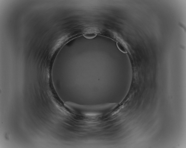 X0000097780059200803071359