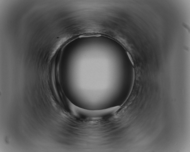 X0000097780060200803071359