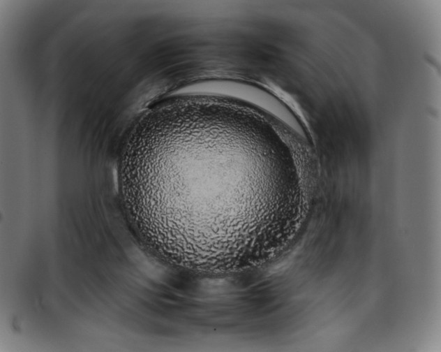 X0000097780061200803071359