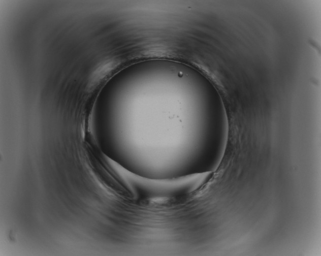 X0000097780062200803071359