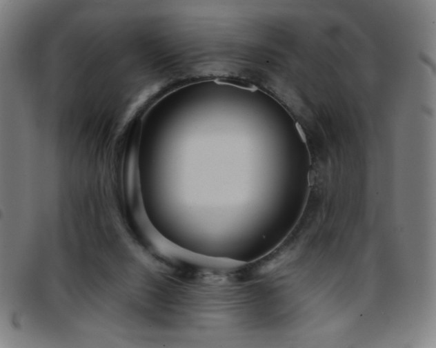 X0000097780064200803071359