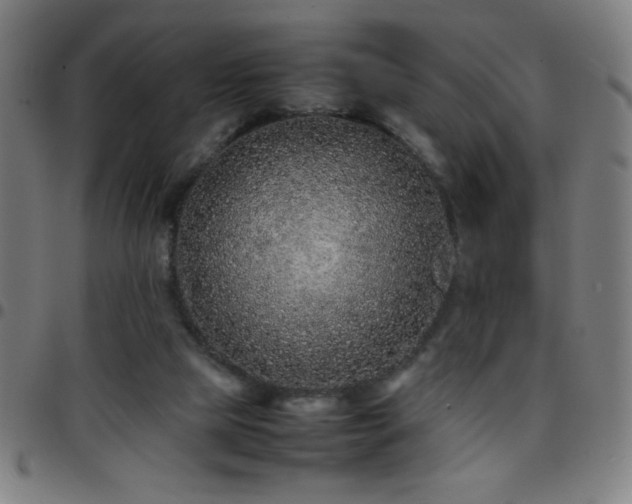 X0000097780065200803071359