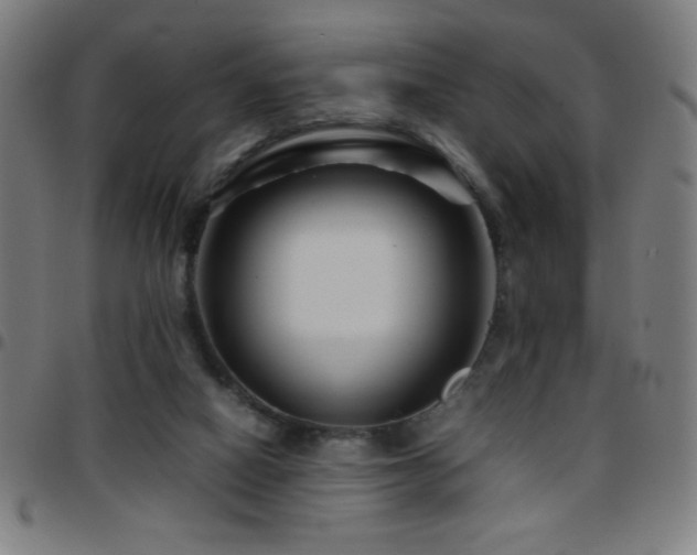 X0000097780066200803071359