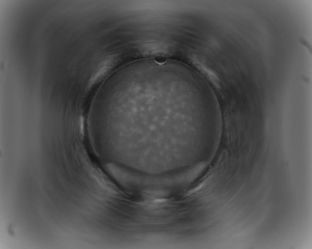 X0000097780067200803071359