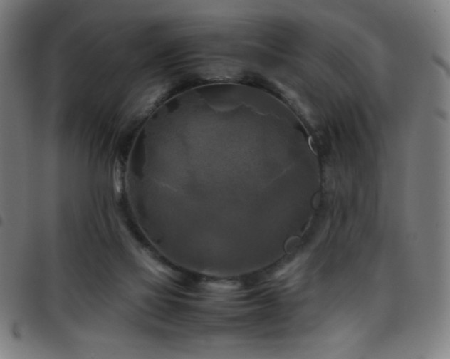 X0000097780069200803071359