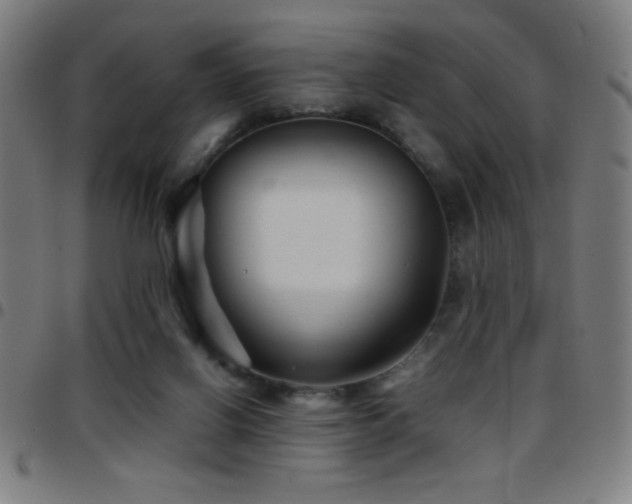 X0000097780070200803071359