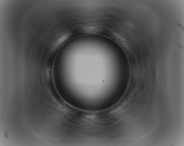 X0000097780071200803071359
