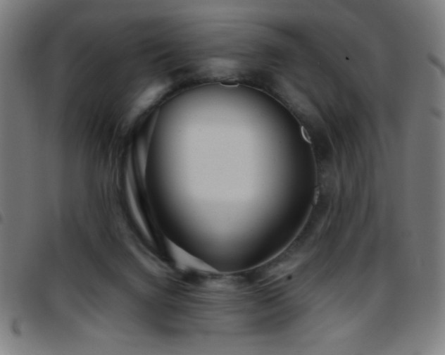 X0000097780072200803071359