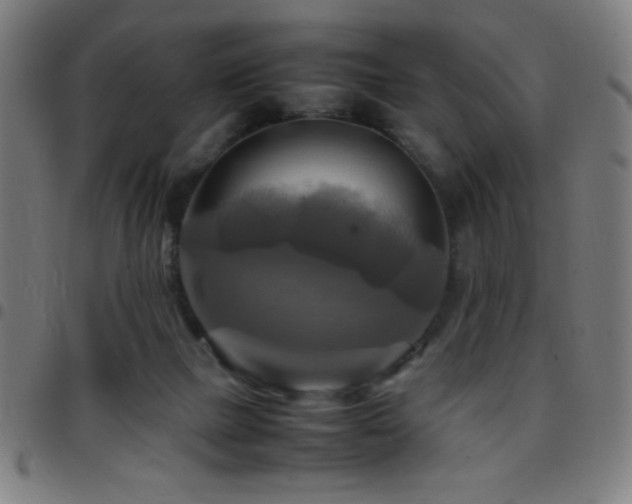 X0000097780073200803071359